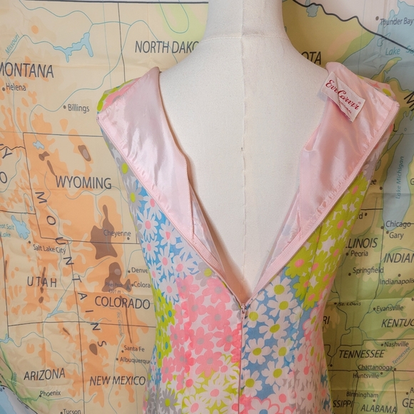 Vintage 1960s Eve Carter Floral Sleeveless Dress with Pleated Skirt - Picture 8 of 16